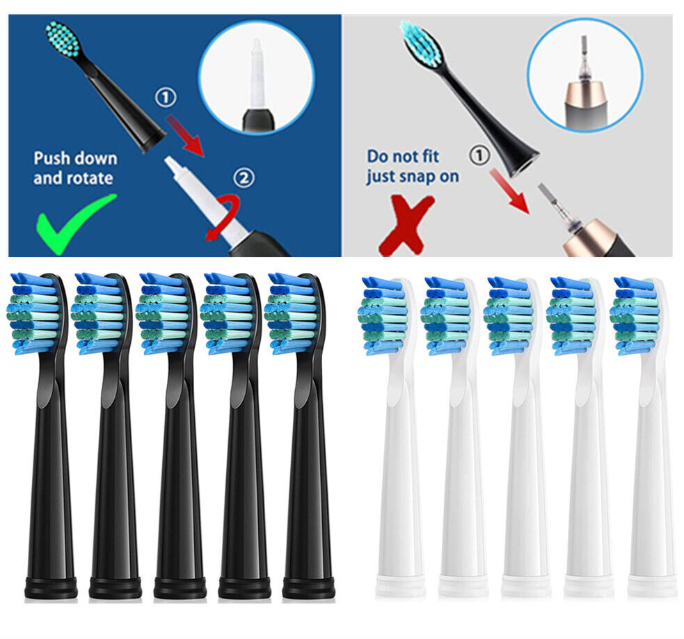 For Initio IT959 Toothbrush Heads,10Pack