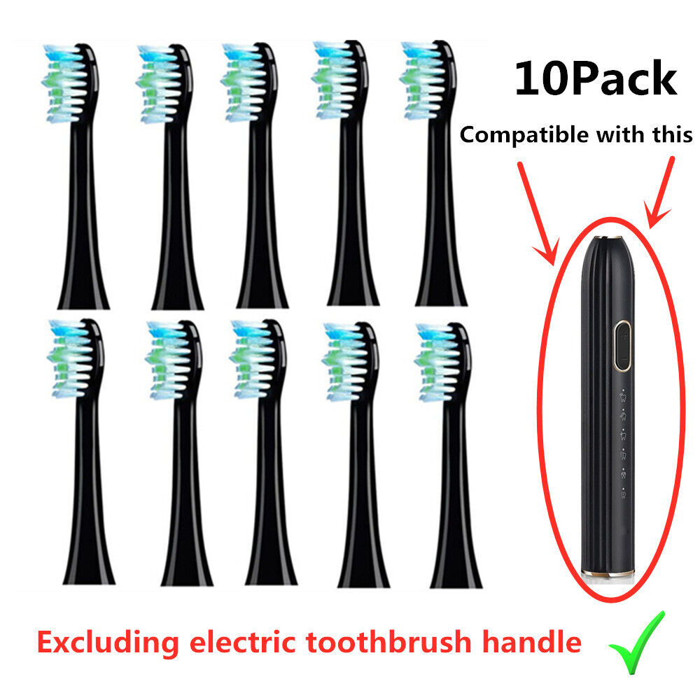 for MAYZE MG015 Mayze015 Toothbrush Heads 10Pack